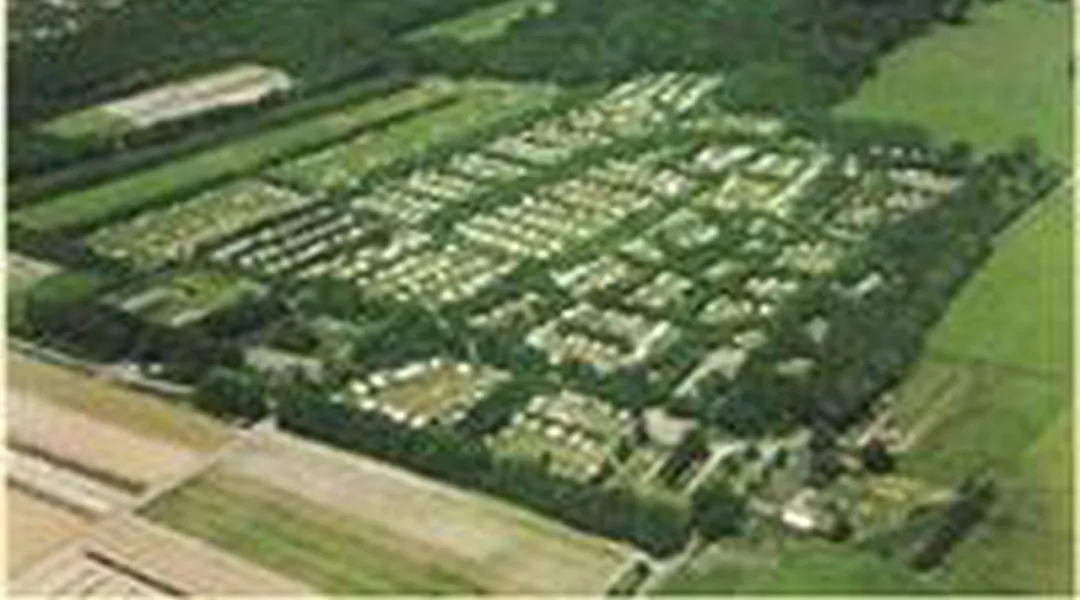 Camping Vogelenzang Camping Info