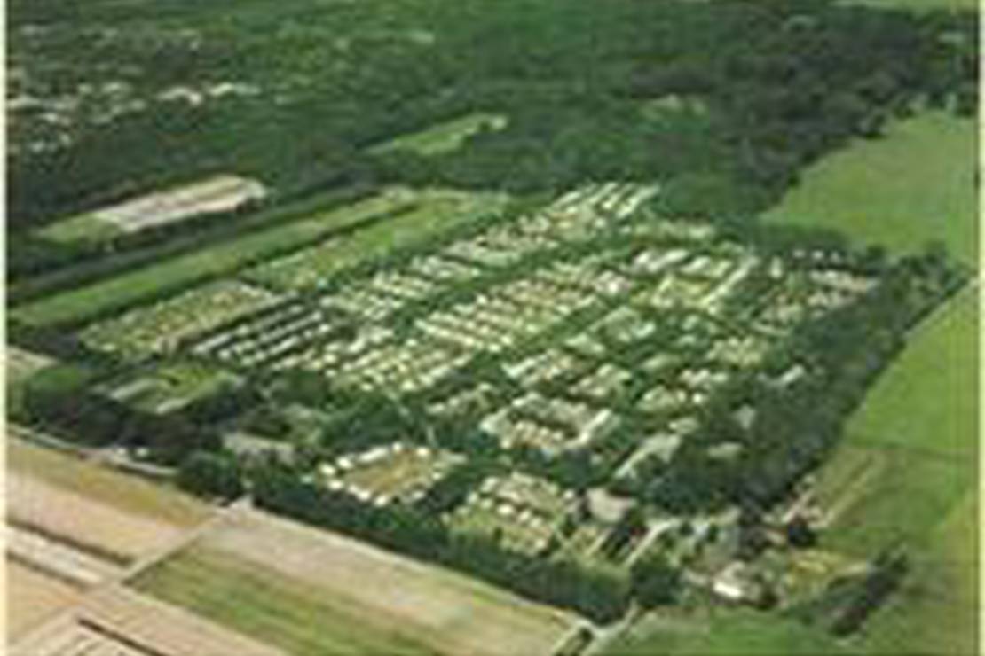 Camping Vogelenzang 5