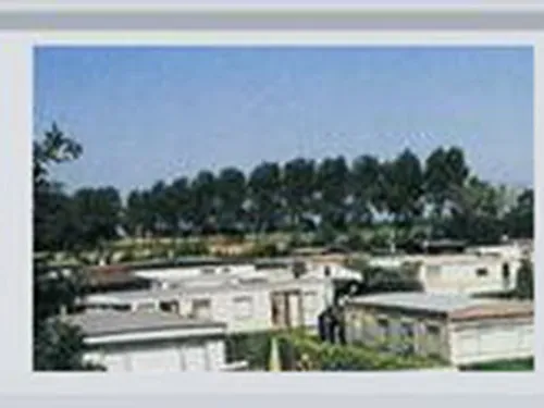 Camping Vogelenzang 5