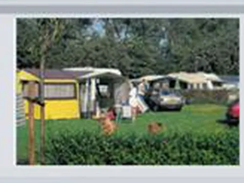 Camping Vogelenzang 3