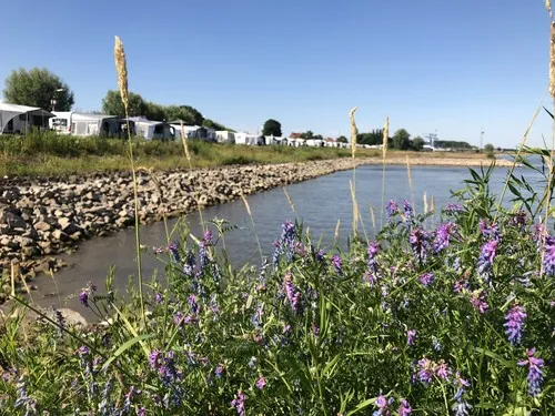 Camping Waalstrand 4