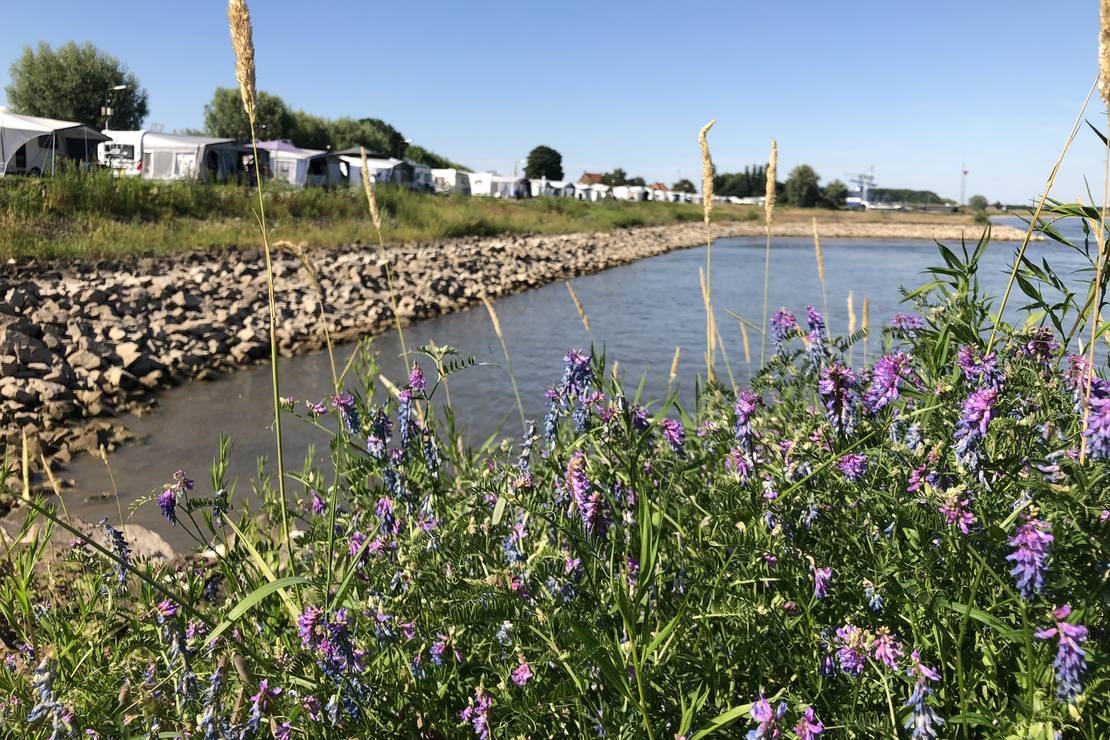 Camping Waalstrand 5