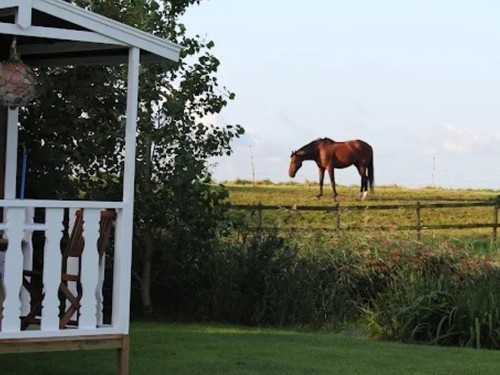 Camping Welgelegen 2