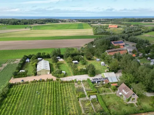 Minicamping & wijngaard Westerhoeve 5