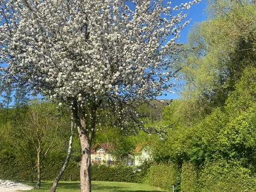 Camping Wienerwald 2