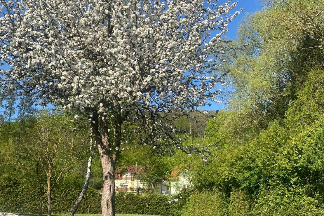 Camping Wienerwald 3