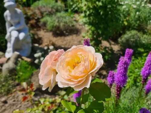 Camping Wiggeshoff 6