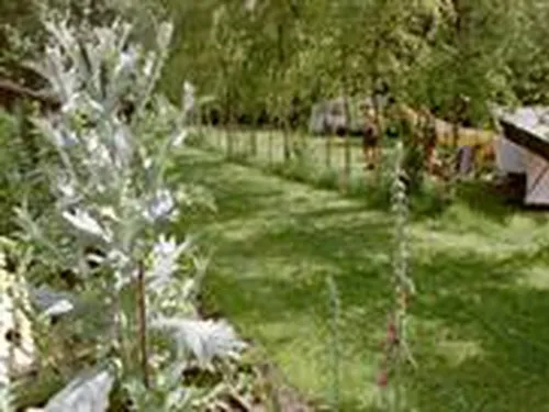 Camping Wildemansheerd 3