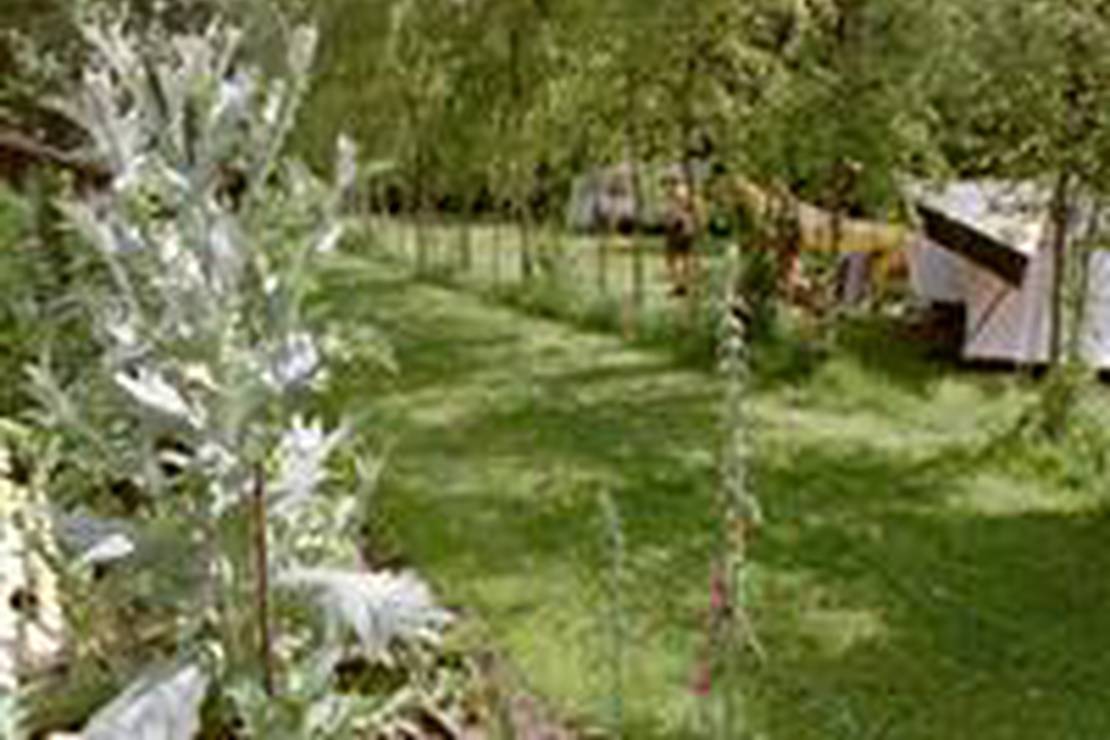 Camping Wildemansheerd 4