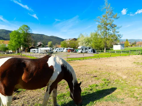 Camping Winkelmayer Hof 5