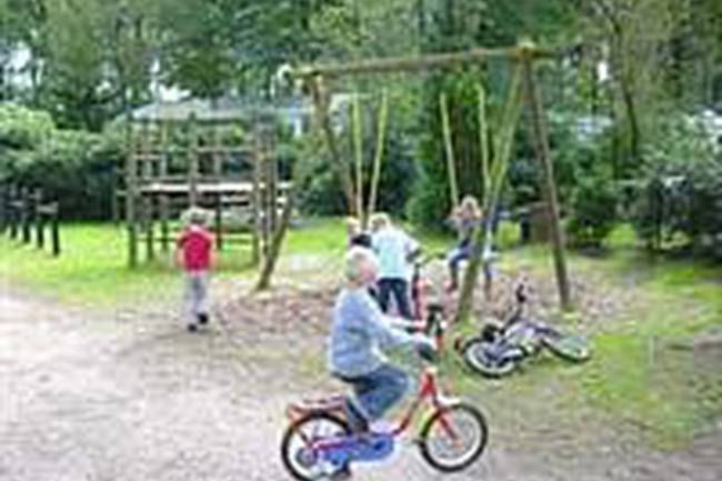 Camping Zuid Ginkel image 1