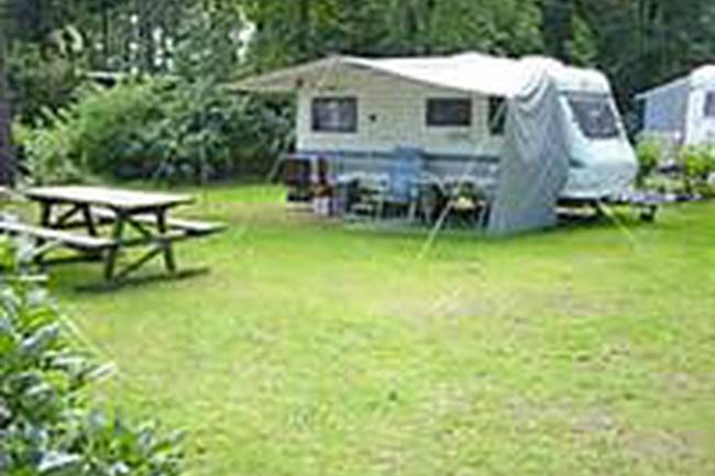 Camping Zuid Ginkel image 0
