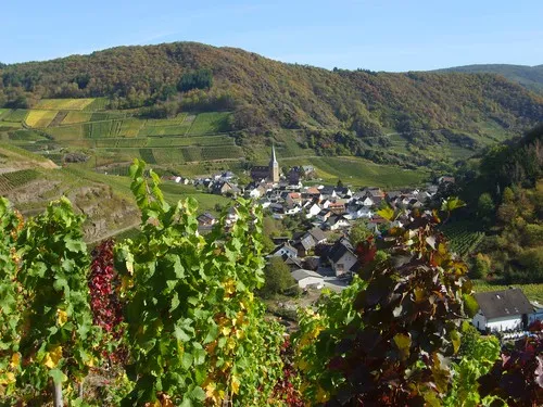 Camping Zur Burgwiese 8