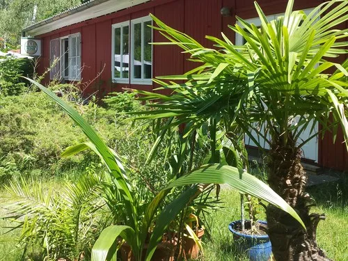 Campingdomizil Körbiskrug 3