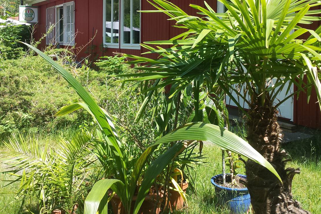 Campingdomizil Körbiskrug 4