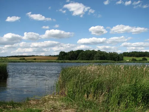 Campingfreunde Mutzschen/Roda e.V. 7