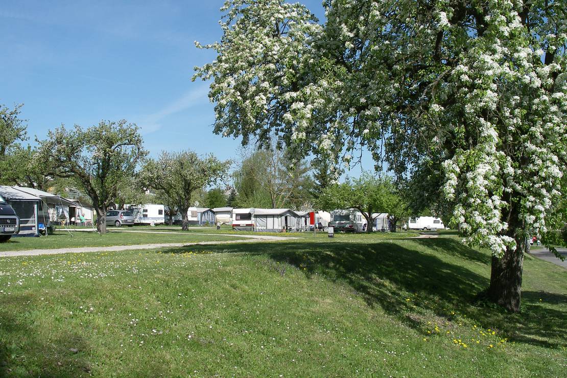 Campinggarten Wahlwies 8