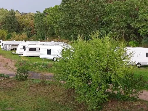 Campinghof Am Grünen Baum 11