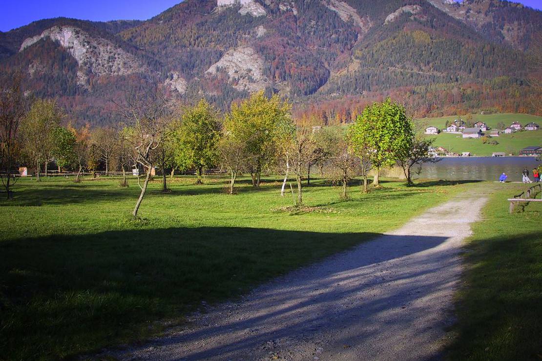 Campingpark Abersee 4