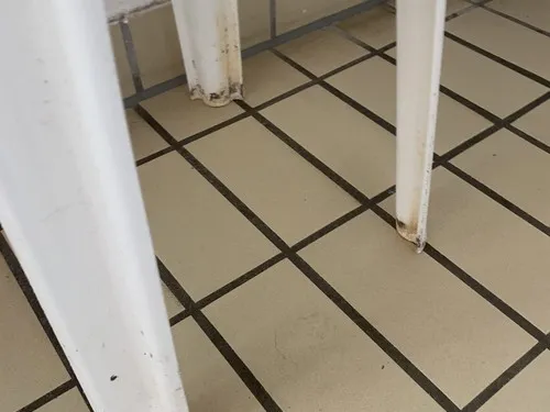 Campingpark Bergwiesen 5