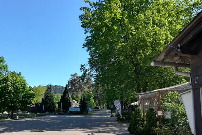 Der Eingangsbereich zu unserem Campingpark