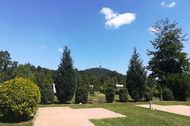 Blick auf unseren Nordplatz
