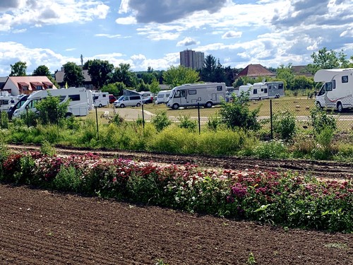 Campingpark Erfurt image 2