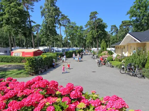 Campingpark Kühlungsborn 13