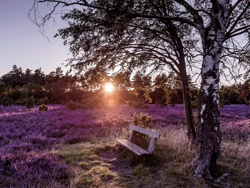 Camping-Park Lüneburger Heide 6