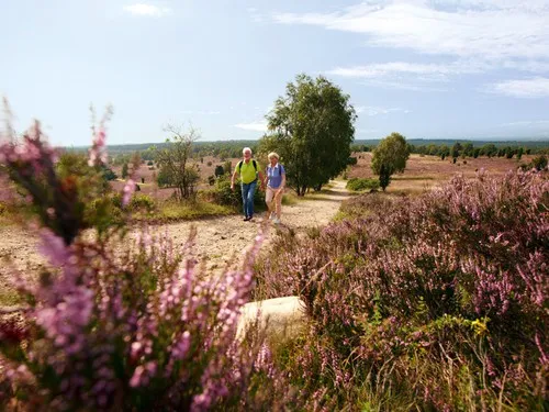 Camping-Park Lüneburger Heide 8
