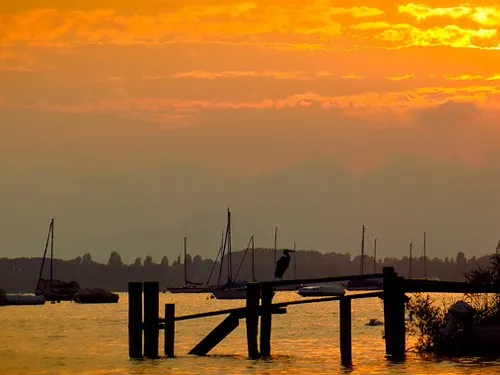 Campingplatz Allensbach 4