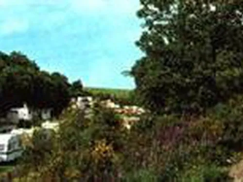 Campingplatz Altes Forsthaus 3