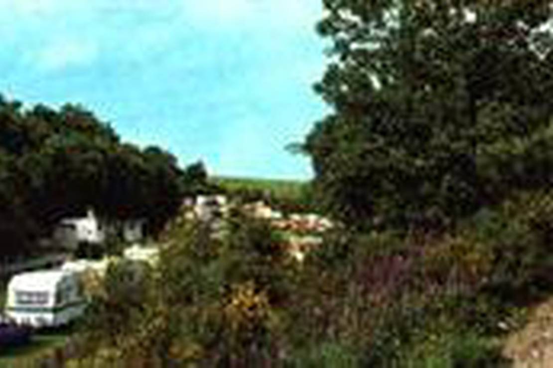 Campingplatz Altes Forsthaus 4