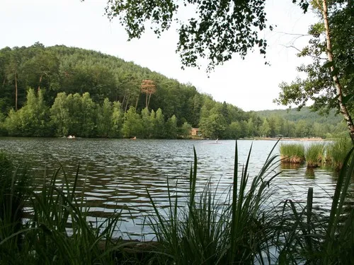 Campingplatz am Gelterswoog 5