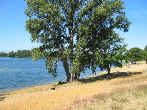 Campingplatz am Jersleber See image 1