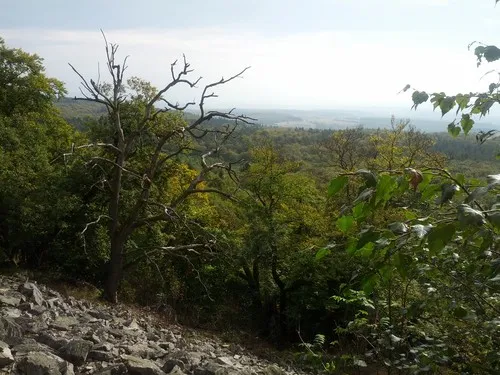 Campingplatz am Weißenfels 4