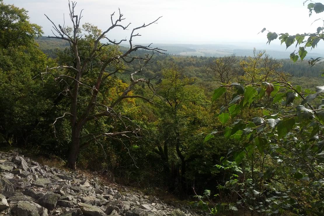 Campingplatz am Weißenfels 5
