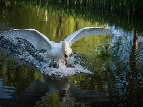 Campingplatz am Wiesengrund 5