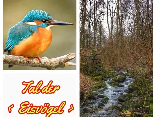 Campingplatz Bad Stuer 5