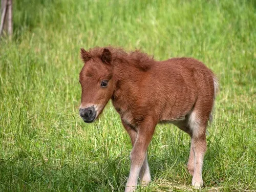 Campingplatz Banzelvitzer Berge 6