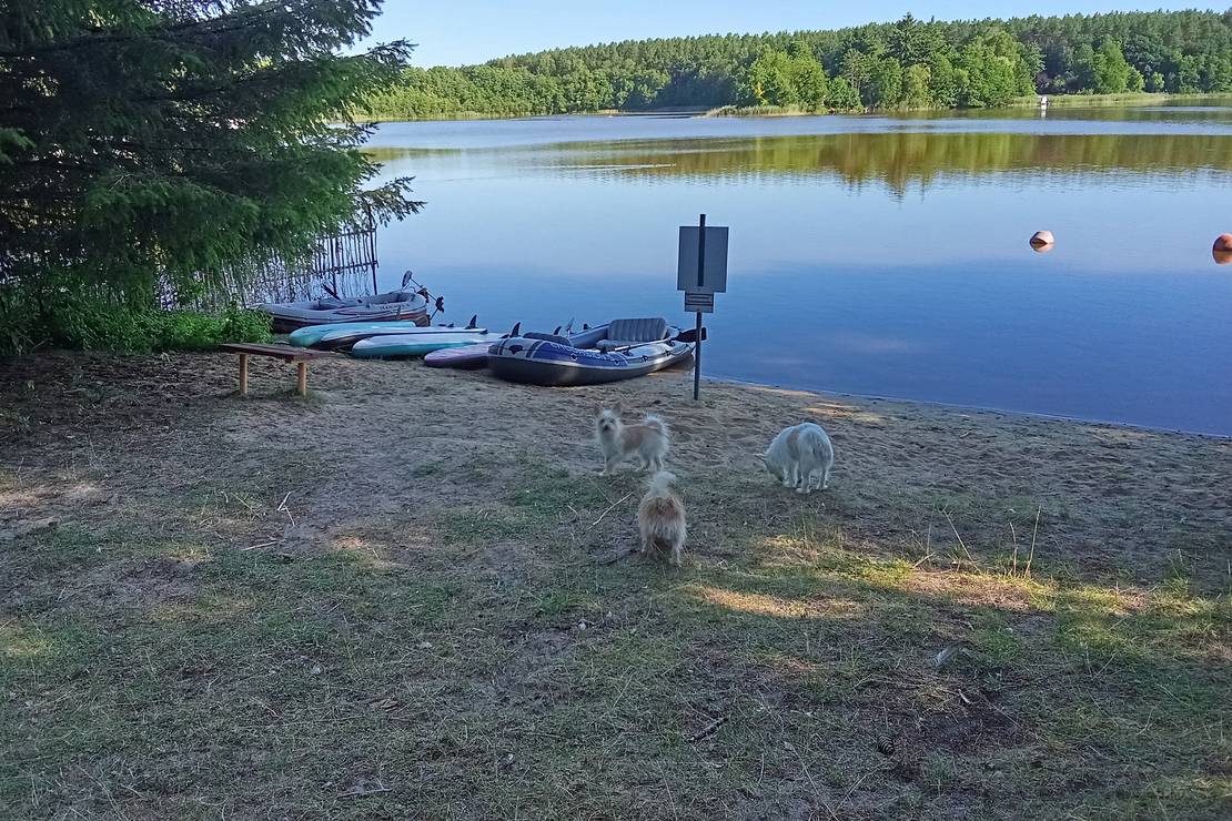 Campingplatz Berner Land 4