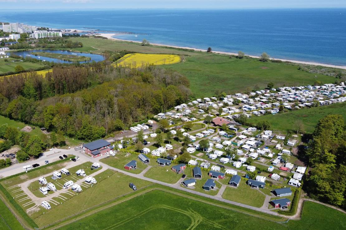 Campingplatz Damp**** Dorotheenthal 6