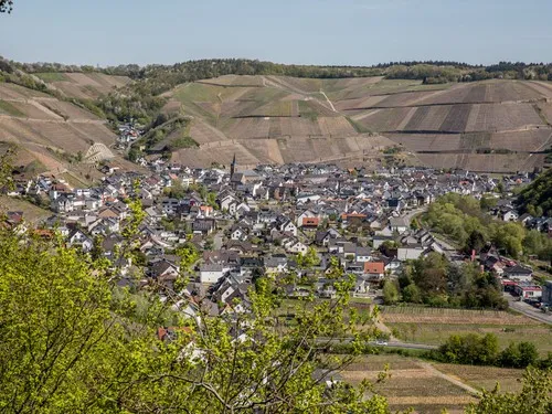Campingplatz Dernau 8