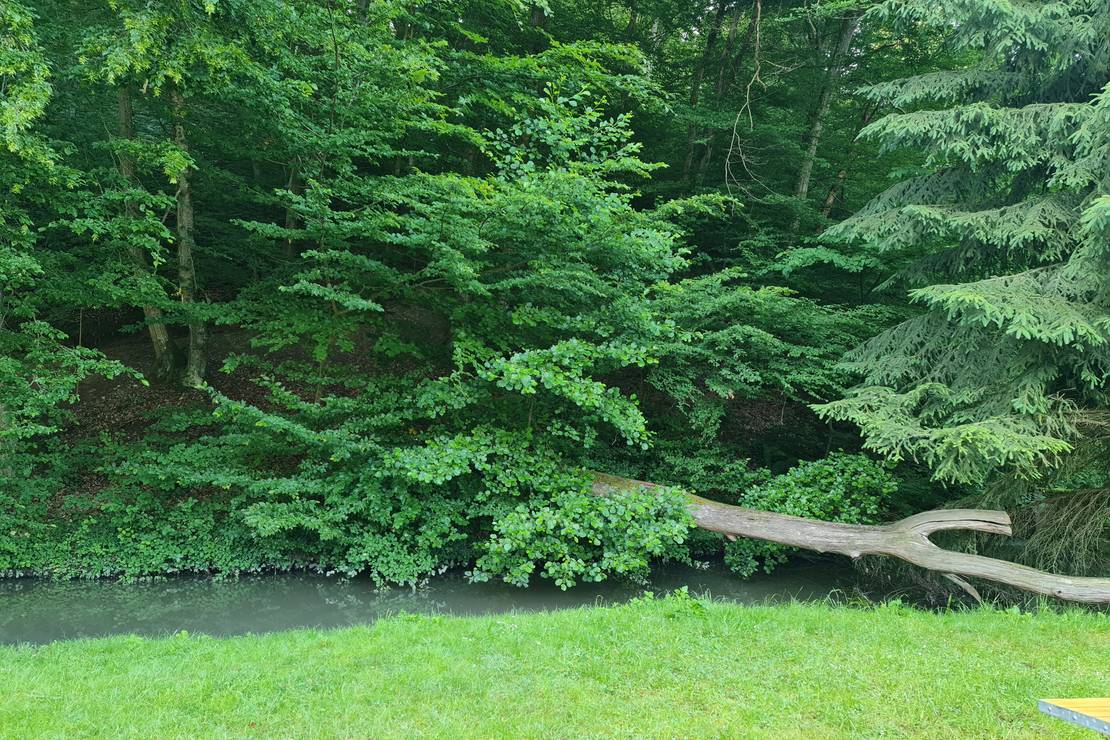 Campingplatz Eisenbachtal 4