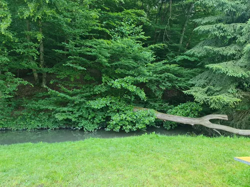 Campingplatz Eisenbachtal 3