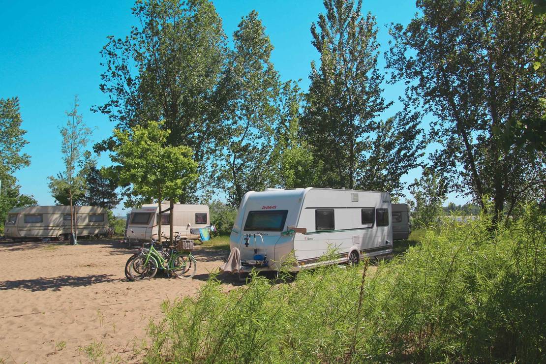 Naturcampingplatz ElbeCamp 4