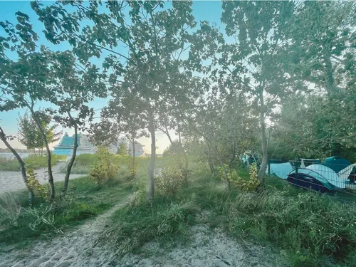 Naturcampingplatz ElbeCamp 5