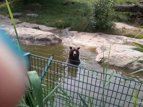 Campingplatz Elisabeth-See 7