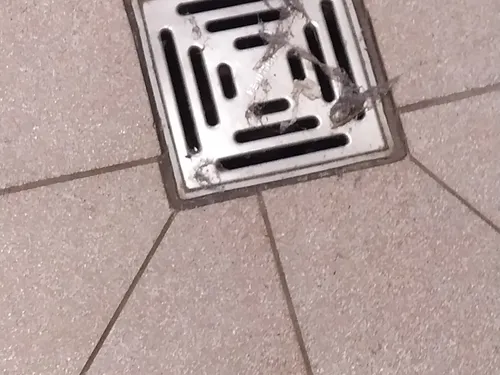 Campingplatz Fischer-Michl 7