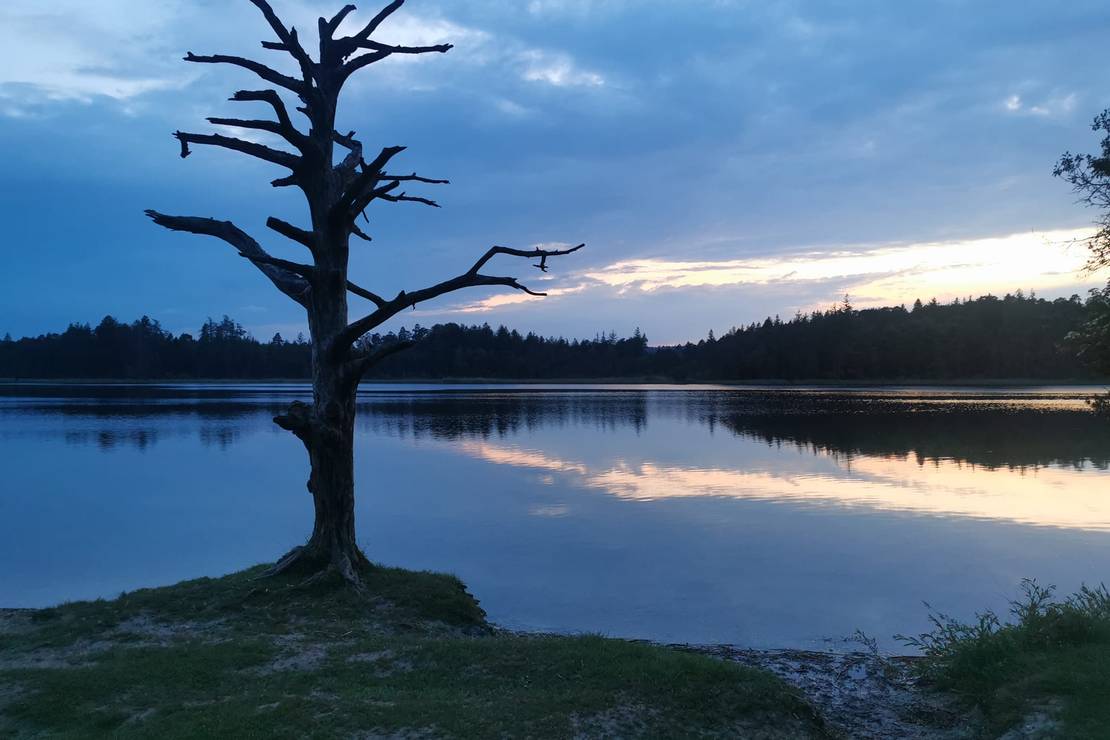 Campingplatz Fohnsee in Bayern - camping.info